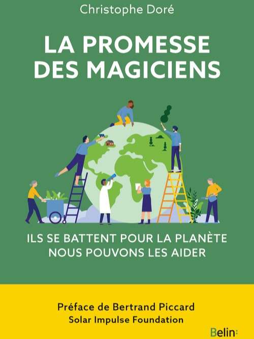 Couverture du livre la promesse des magiciens