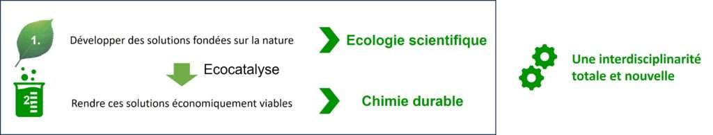 Ecocatalyse une solution interdisciplinaire